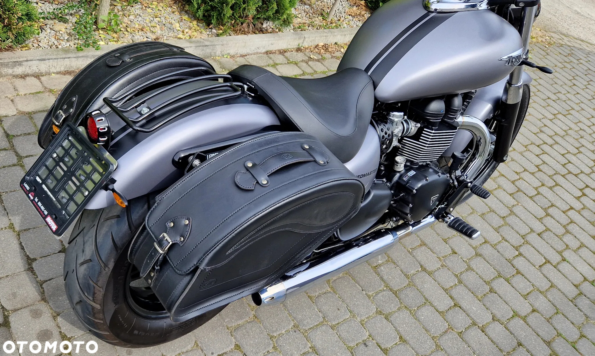 Triumph Speedmaster - 16