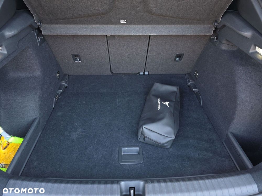 Cupra Terramar 2.0 TSI 4Drive DSG - 18