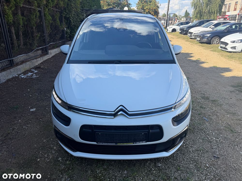 Citroën C4 SpaceTourer 1.5 BlueHDi Rip Curl S&S - 14