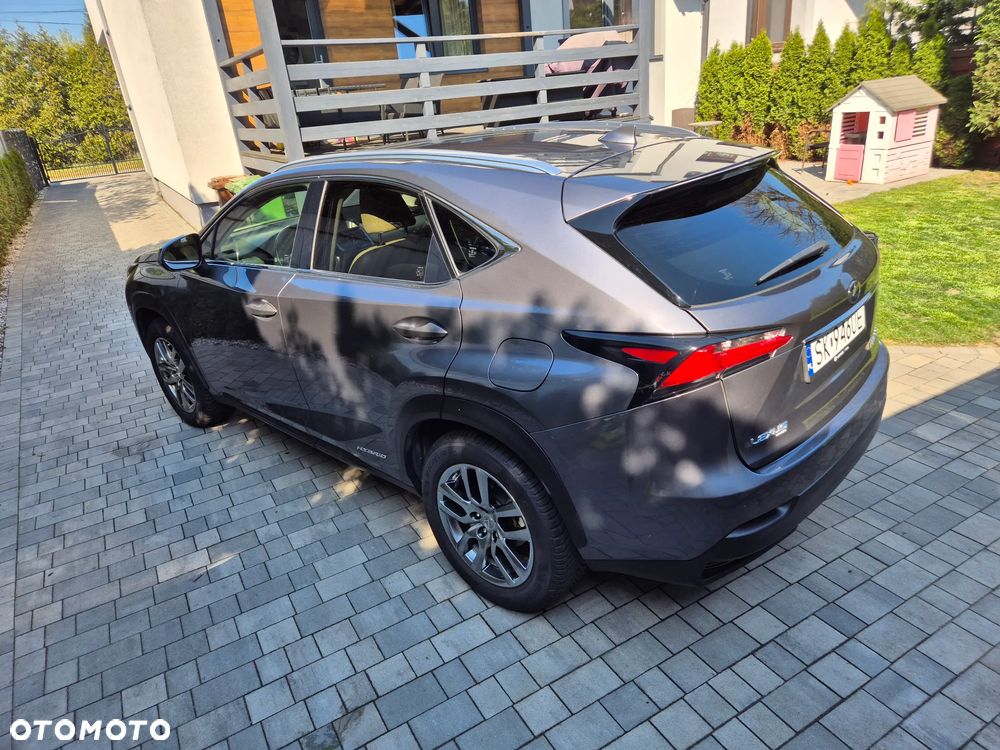 Lexus NX 300h Business Edition AWD - 7