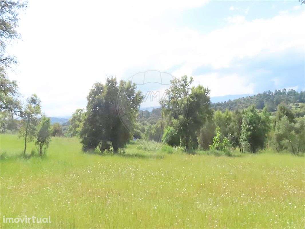 Quinta  para venda - Grande imagem: 4/28