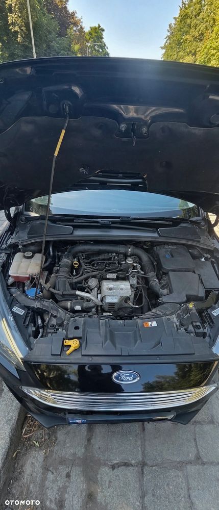 Ford Focus - 6