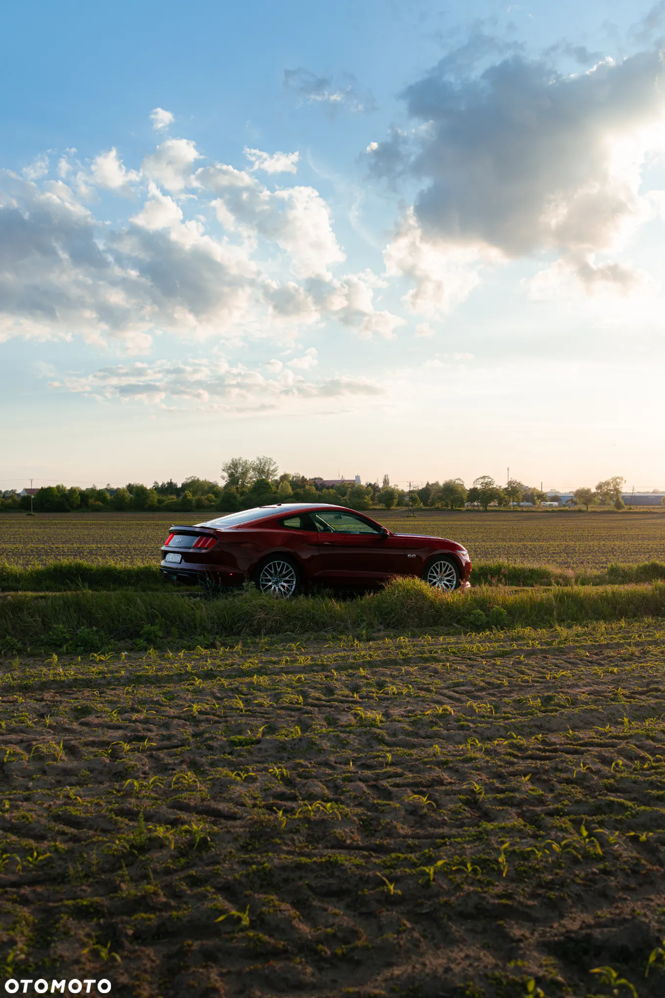 Ford Mustang 5.0 V8 GT - 30