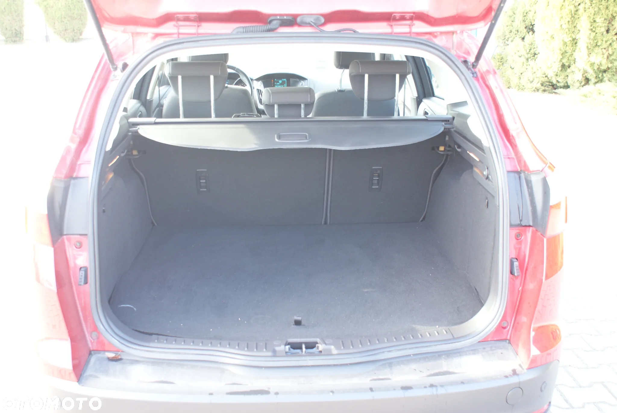 Ford Focus - 12