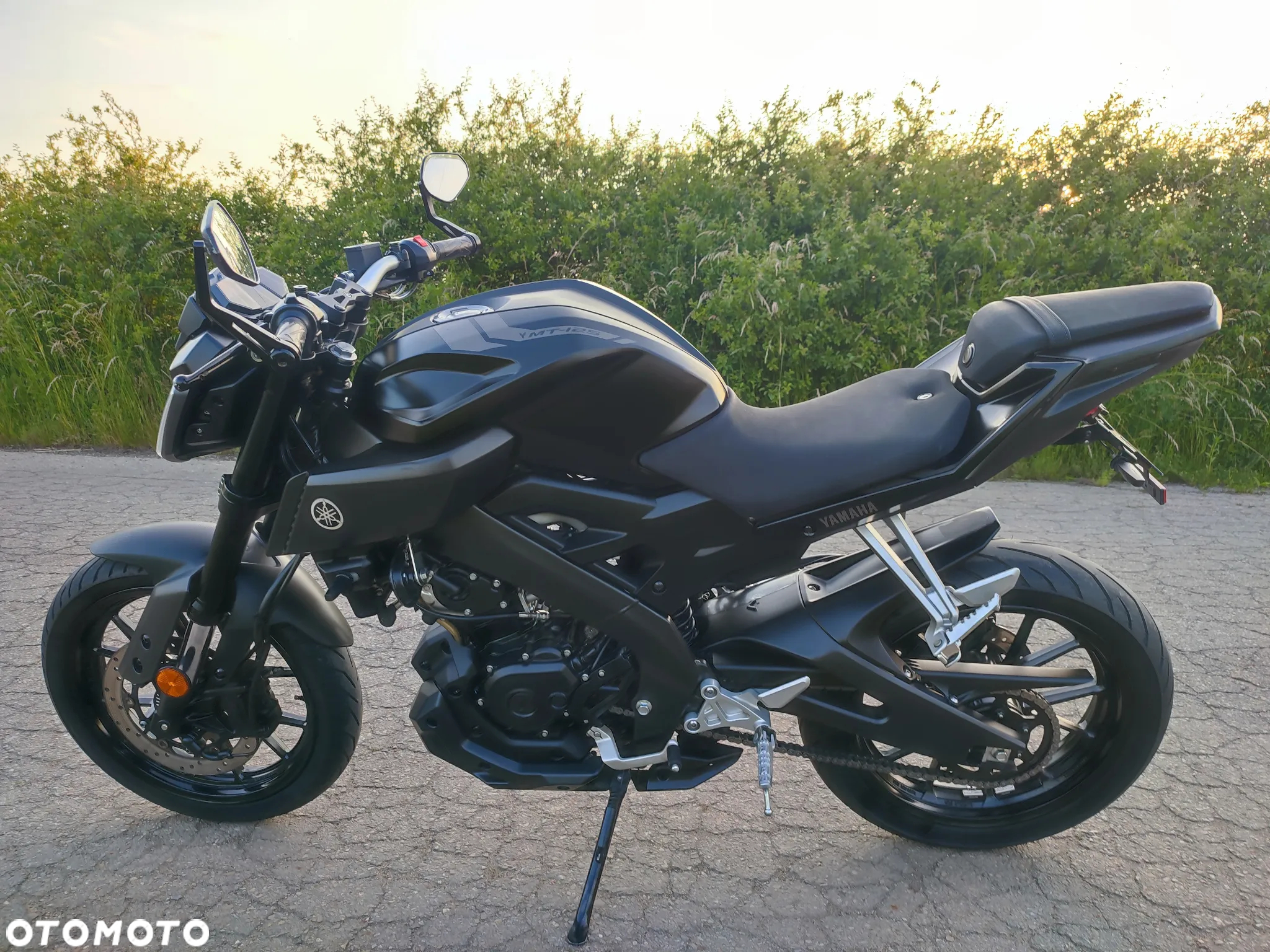 Yamaha MT - 36