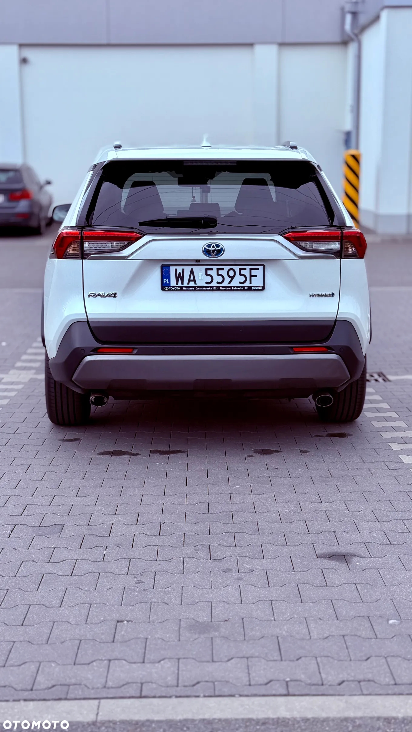 Toyota RAV4 2.5 Hybrid Executive 4x2 - 7