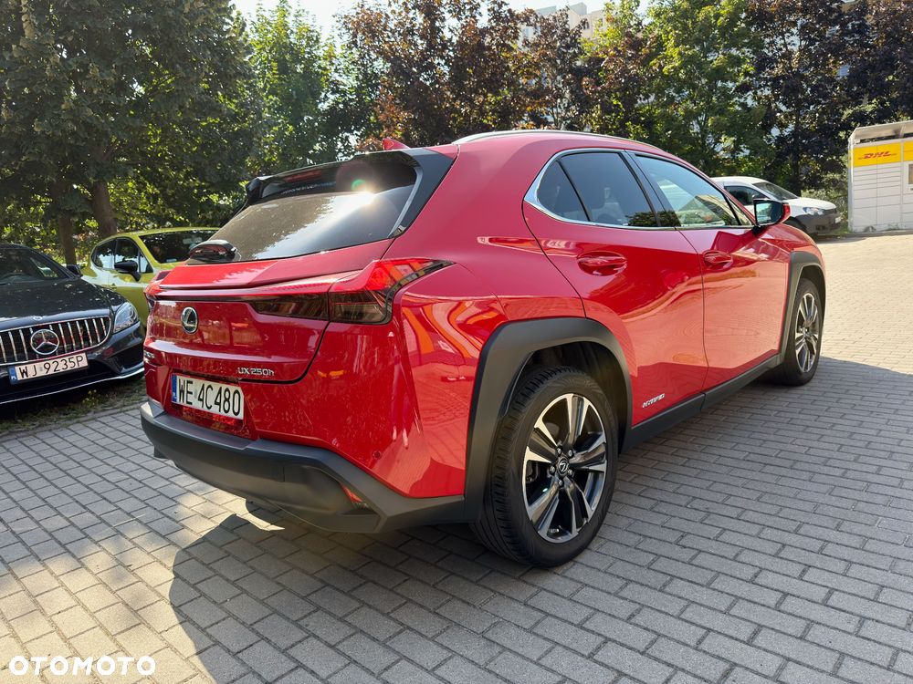 Lexus UX 250h GPF Business Edition 2WD - 8
