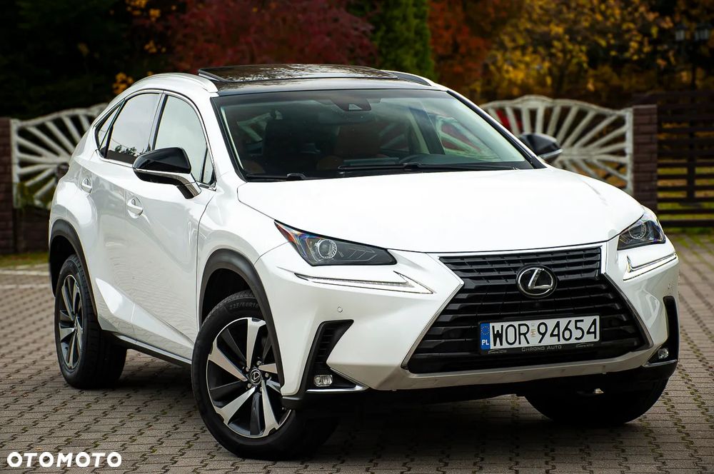 Lexus NX 300 AWD Executive Line - 12