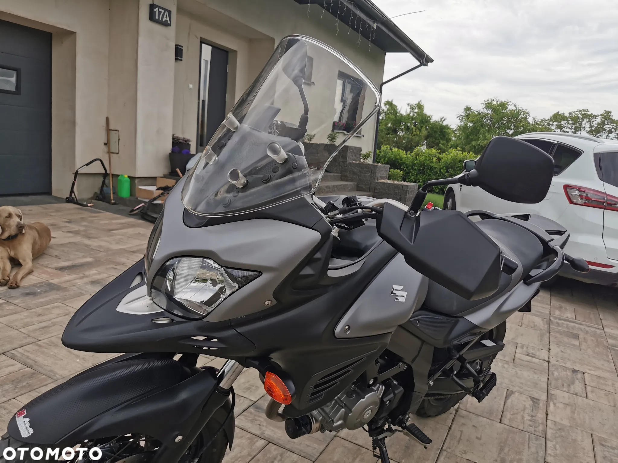Suzuki DL - 22