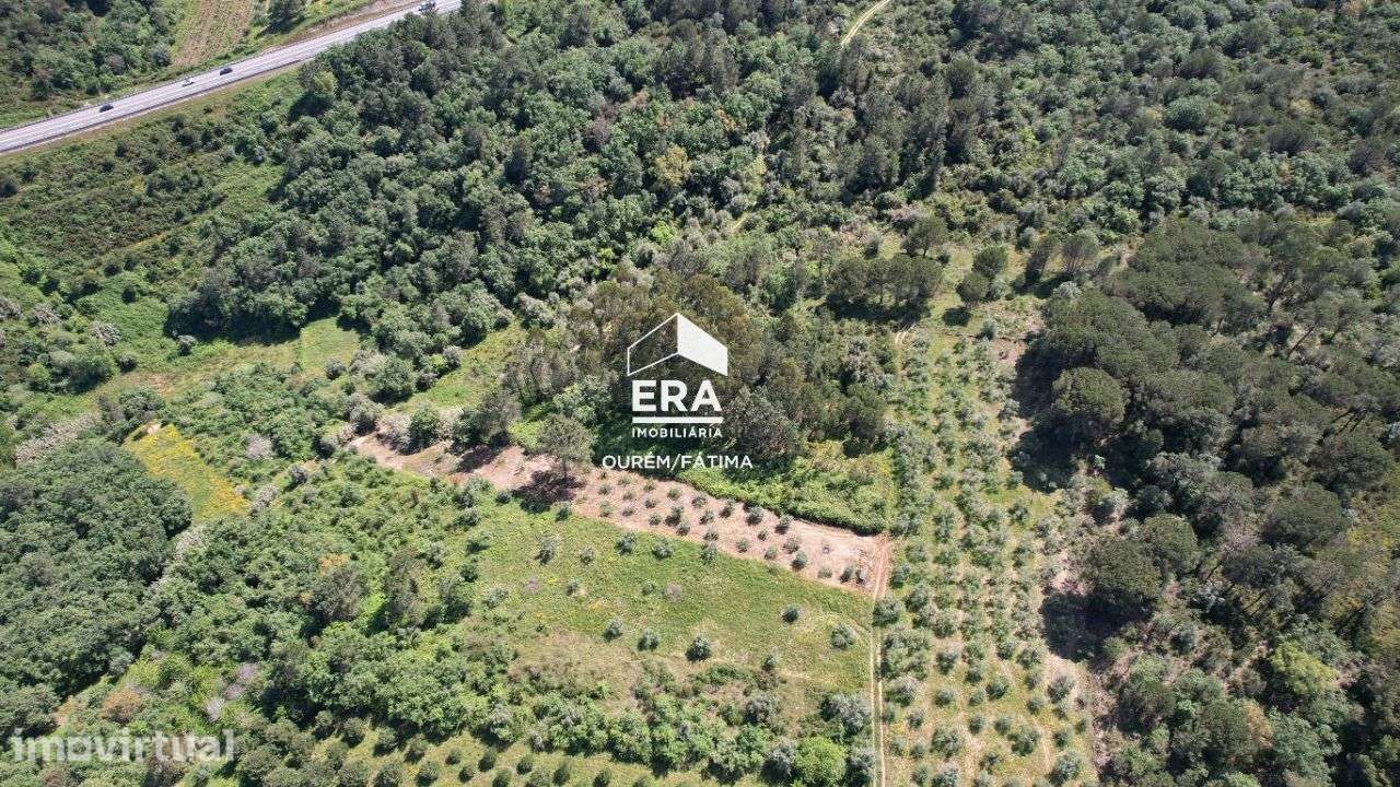 Terreno com Ruína em Pedrogão Grande - Grande imagem: 3/27
