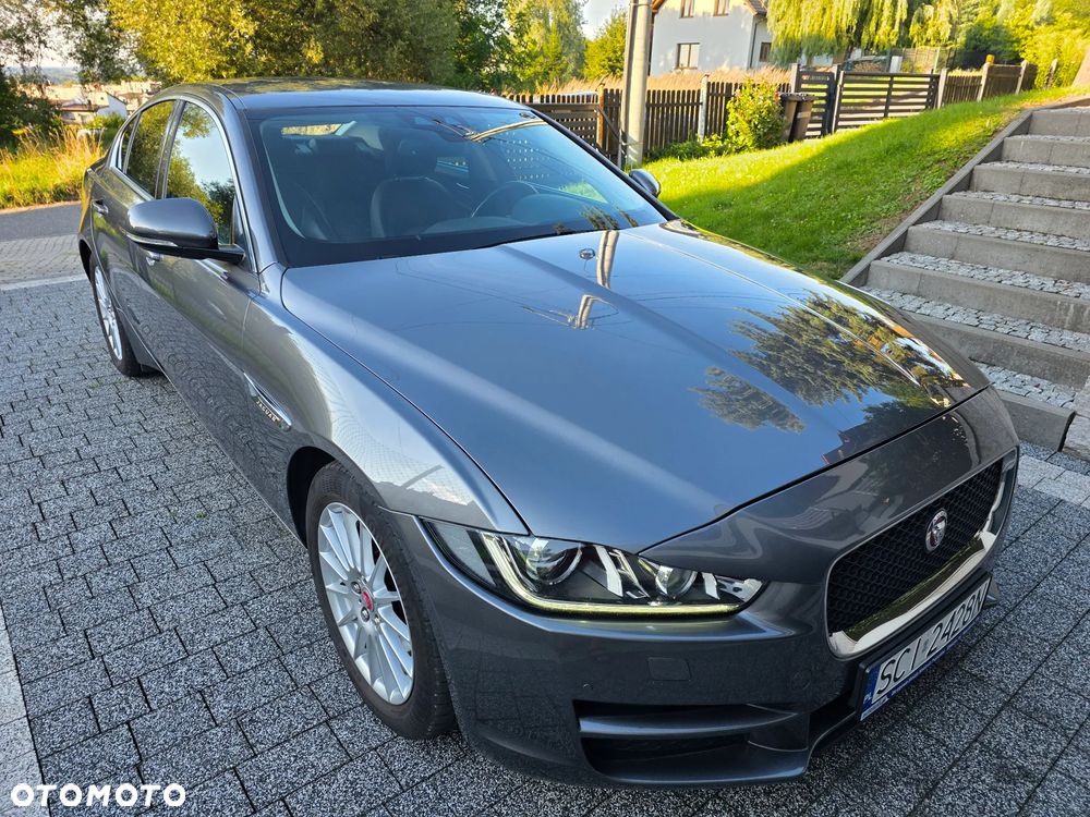 Jaguar XE E-Performance Pure - 1
