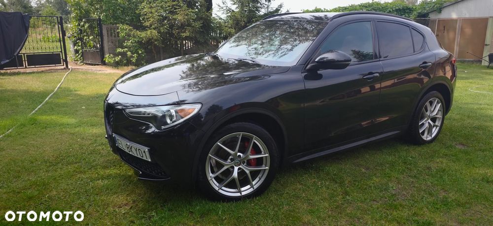 Alfa Romeo Stelvio 2.0 Turbo 16V AT8-Q4 First Edition - 1