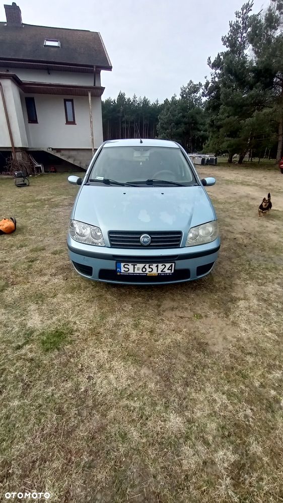Fiat Punto 1.3 Multijet - 5