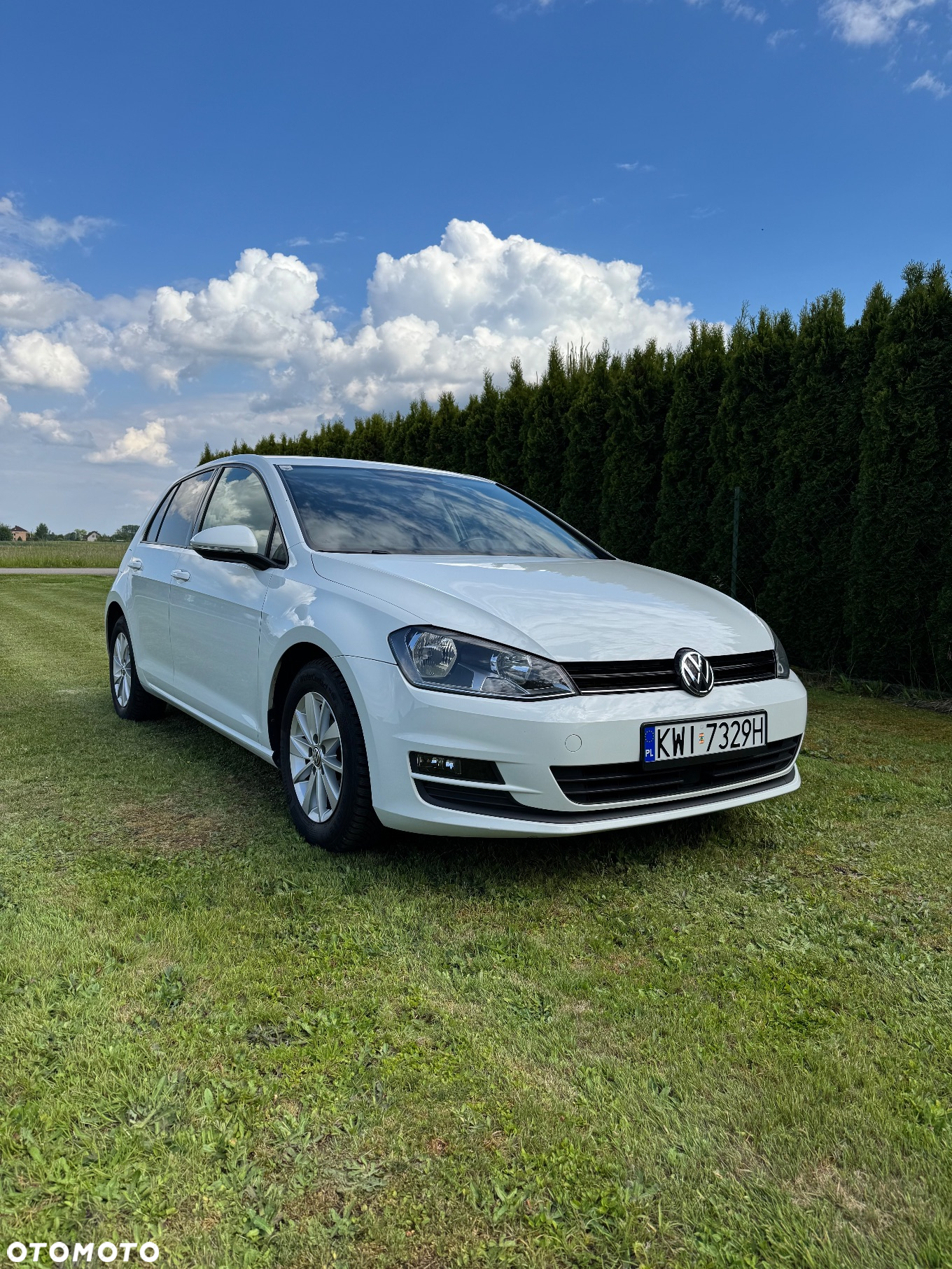Volkswagen Golf - 2