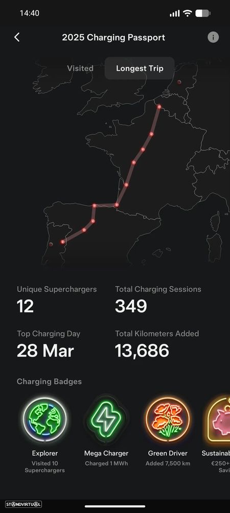 Tesla Model 3 Tração Traseira Standard - 35