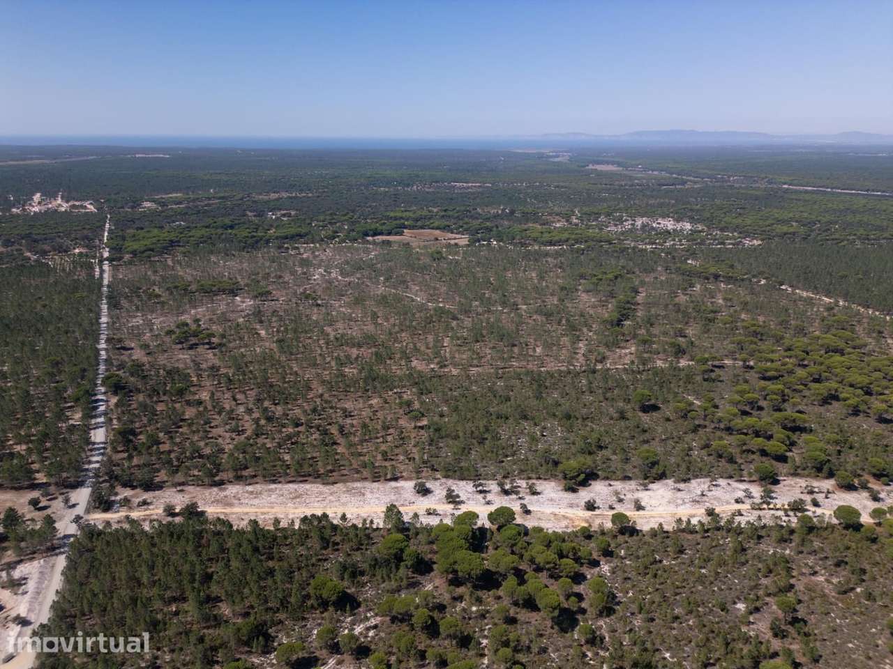 Terreno 9.4 ha, Muda, Grândola - Grande imagem: 5/25