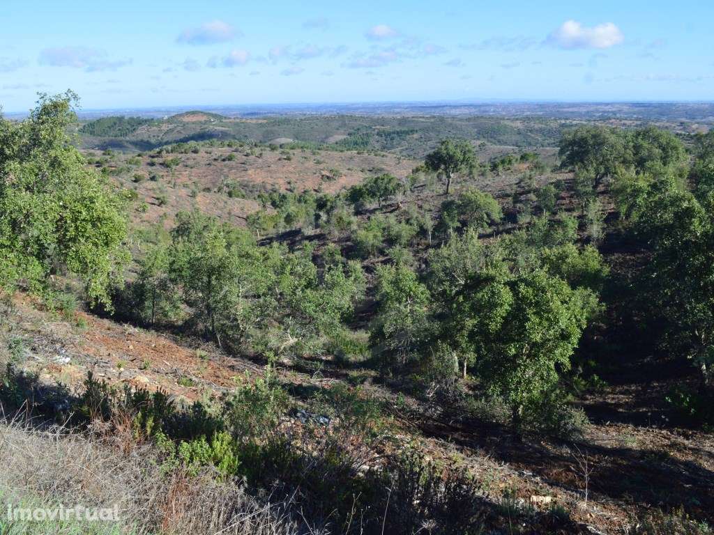 Terreno com duas ruínas registadas como artigos urbanos, Almodôvar,... - Grande imagem: 2/51