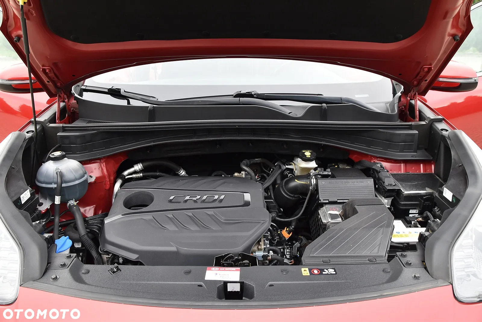 Kia Sportage - 8