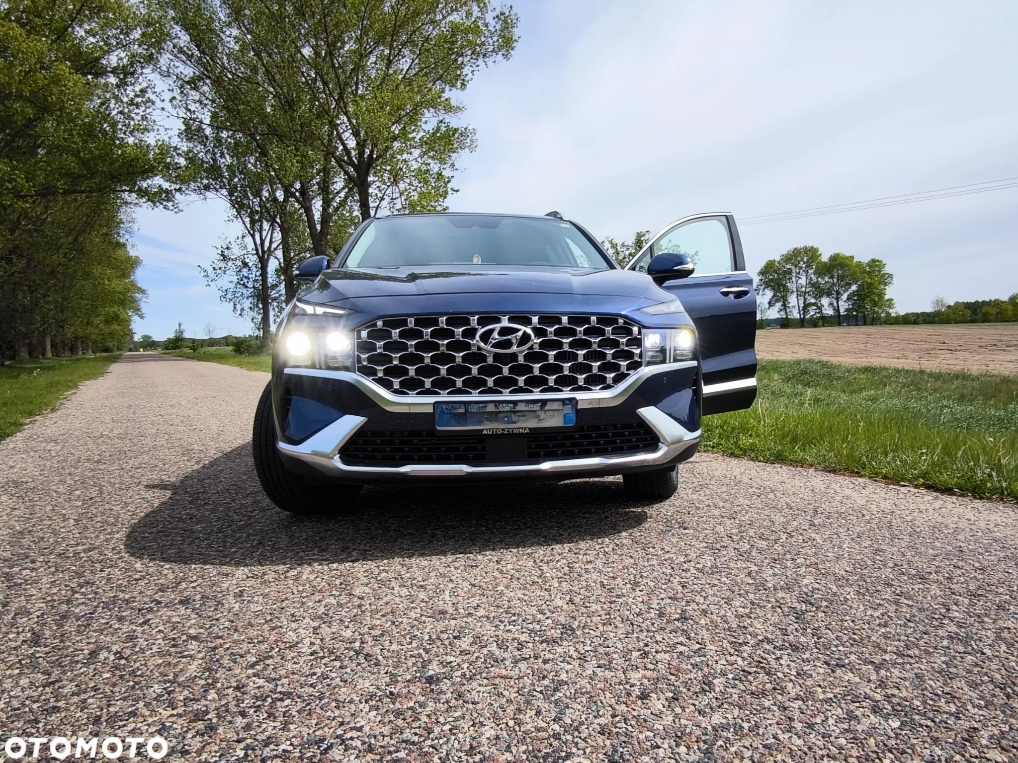 Hyundai Santa Fe 1.6 T-GDI HEV Executive 4WD - 6