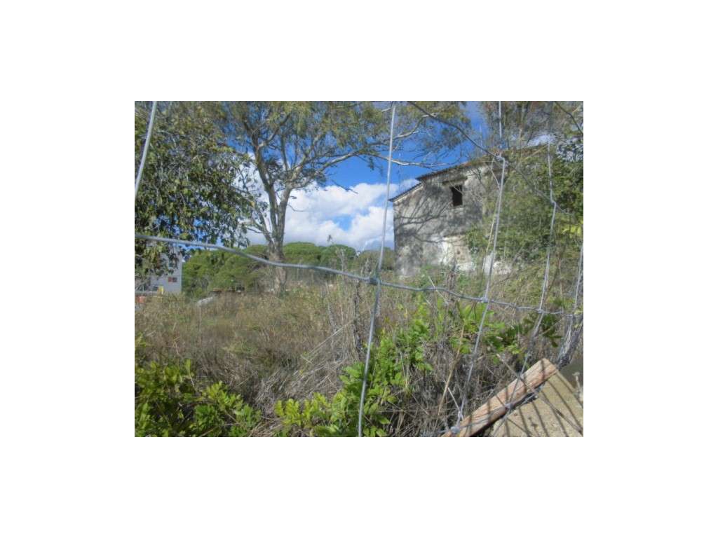 TERRENO URBANO - RINCHOA - Grande imagem: 2/7