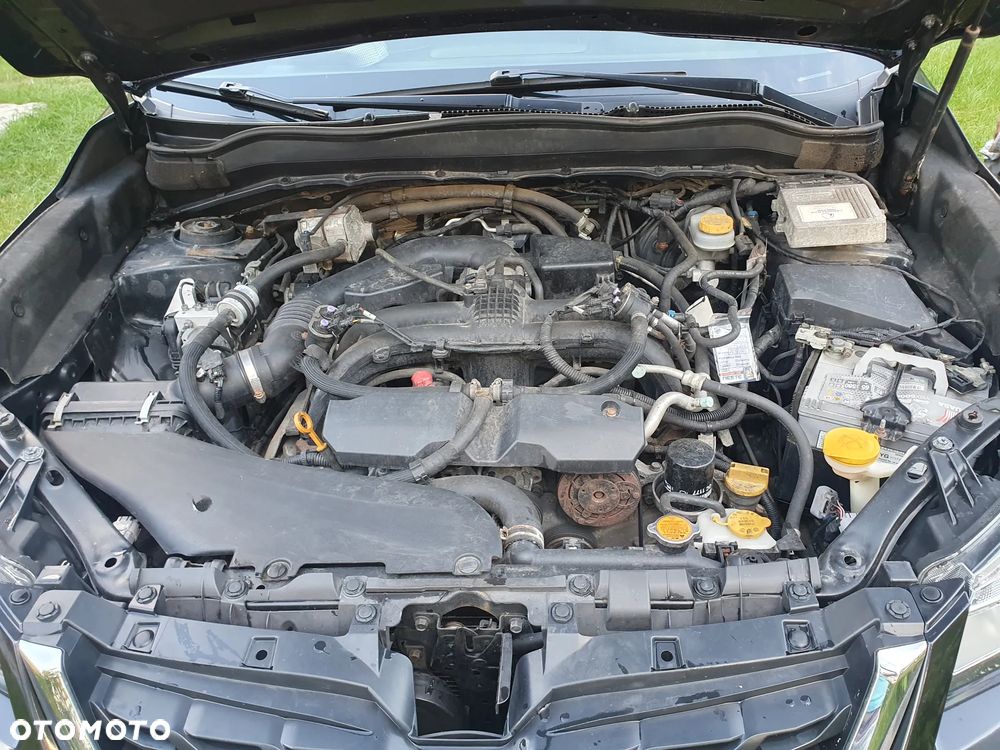 Subaru Forester - 10