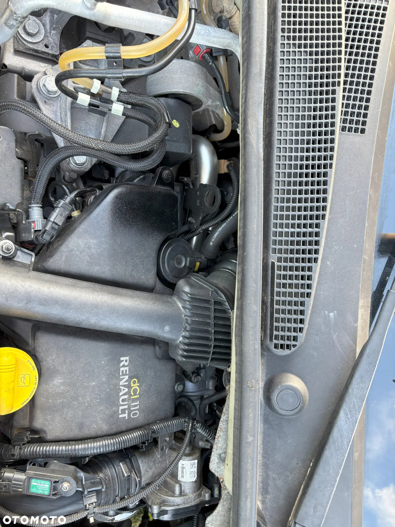 Renault Kangoo - 19