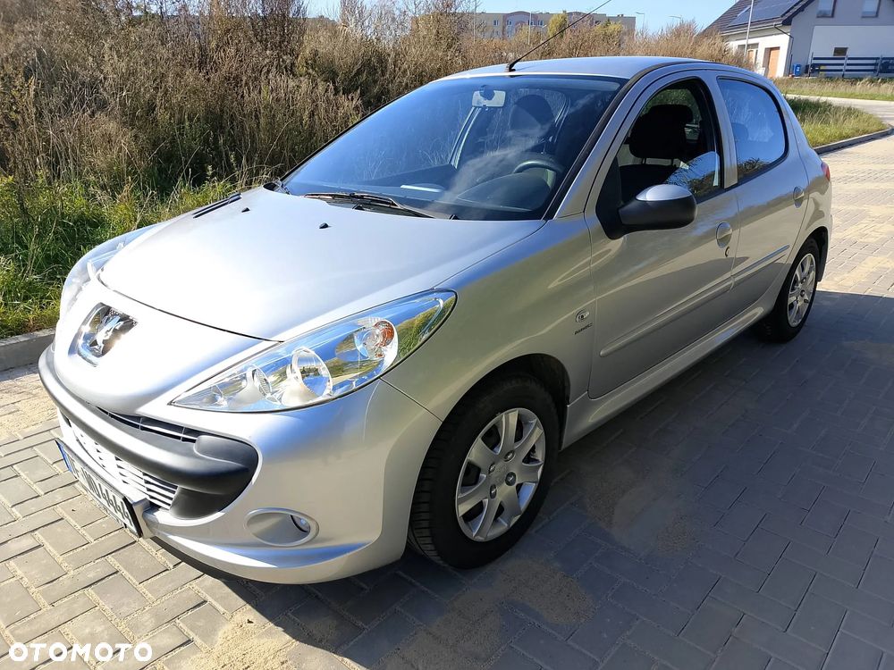 Peugeot 206 plus - 10