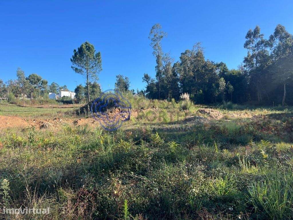Lote com projeto aprovado com 2866m2 - Grande imagem: 2/20