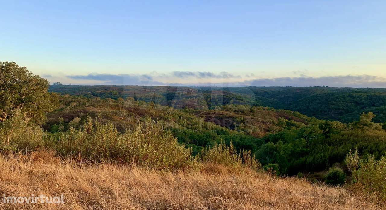 Herdade  com 40,85 hectares em São Bartolomeu da Serra, Santiago do... - Grande imagem: 4/50