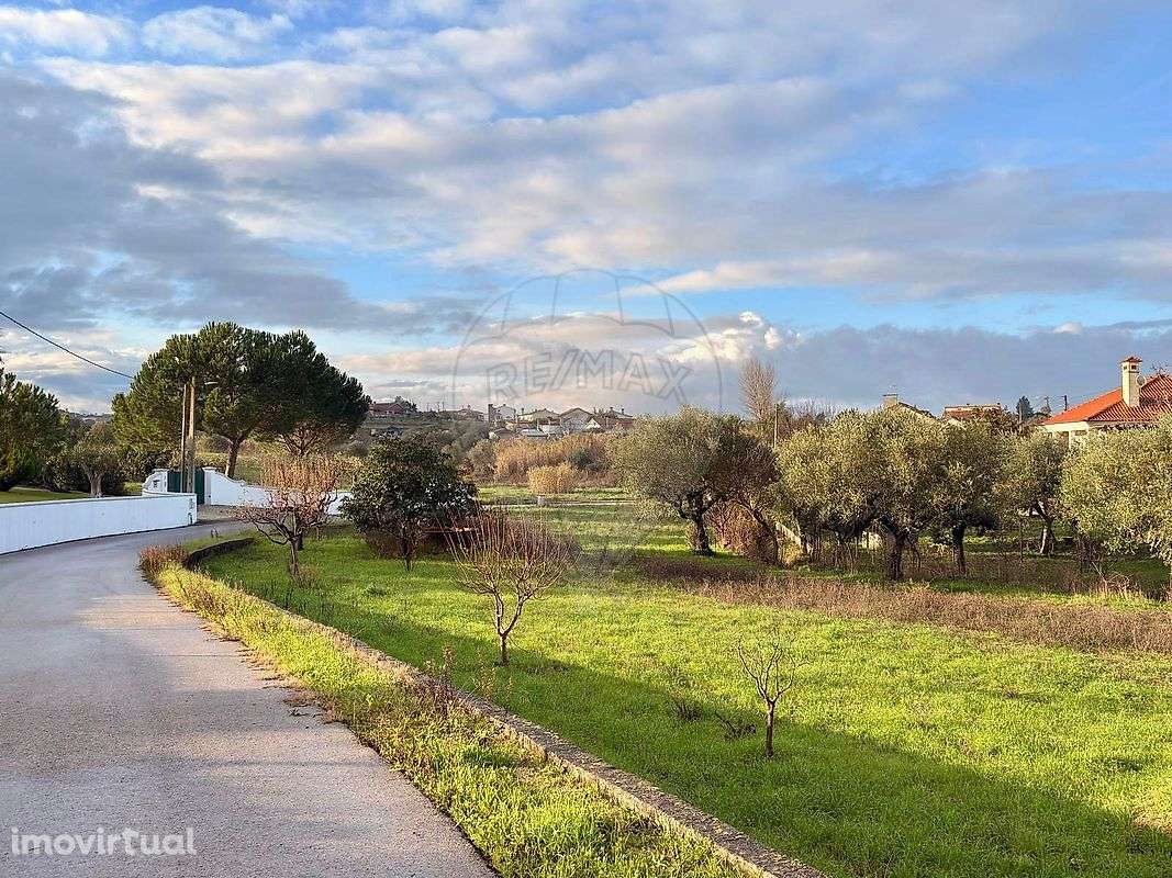 Terreno  para venda - Grande imagem: 4/9