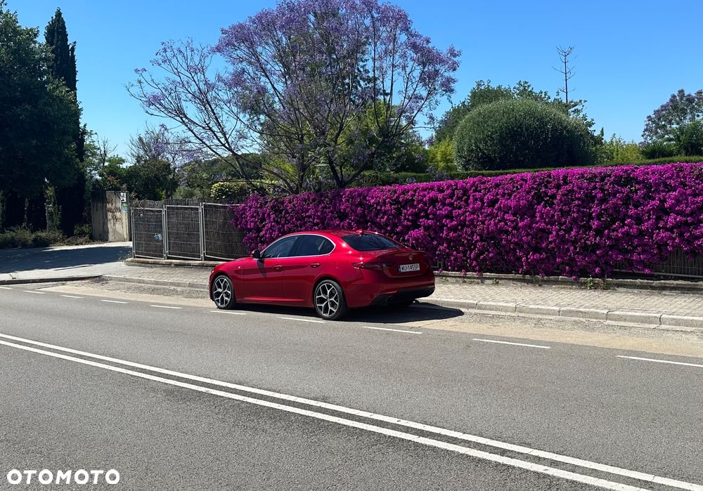 Alfa Romeo Giulia 2.0 Turbo 6C Villa D'este - 27