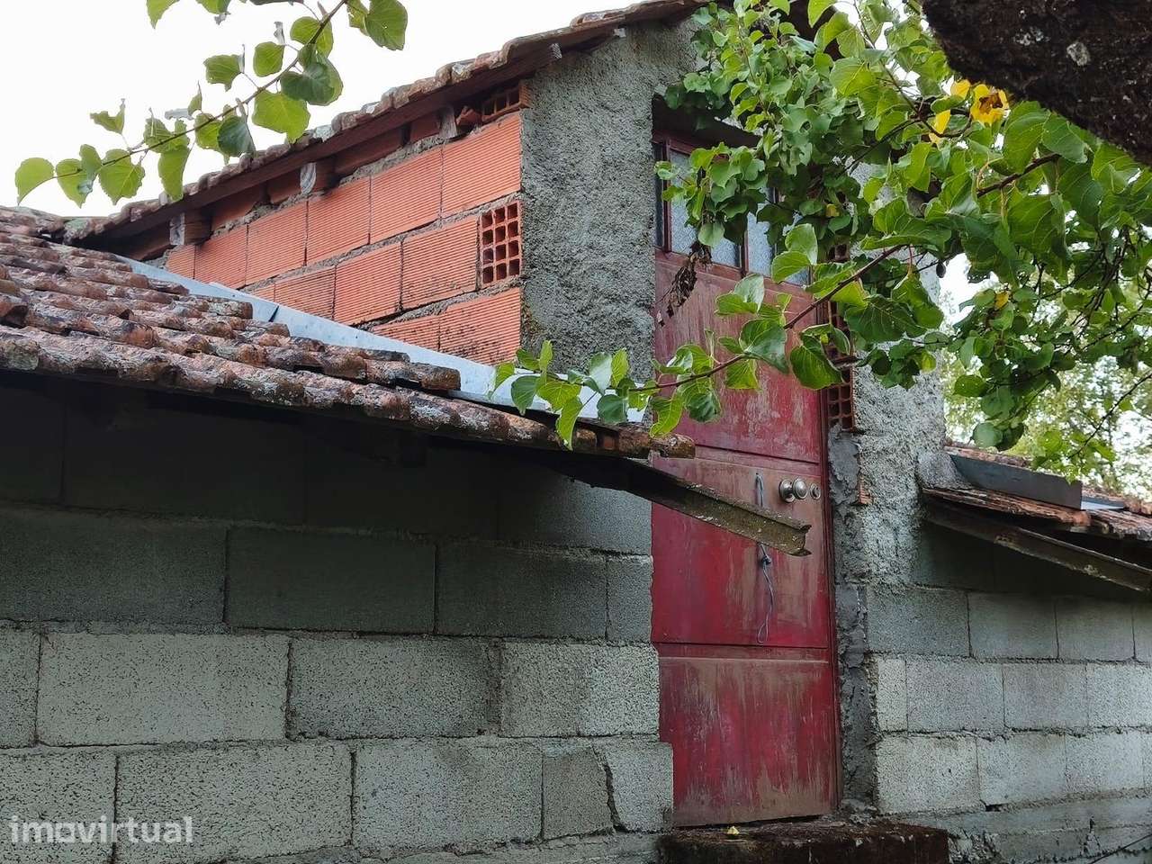 Quinta muito bem situada com varias arvores de fruto - Grande imagem: 3/24
