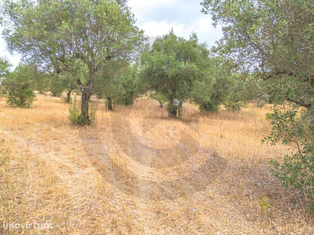 Terreno rústico - Grande imagem: 3/7