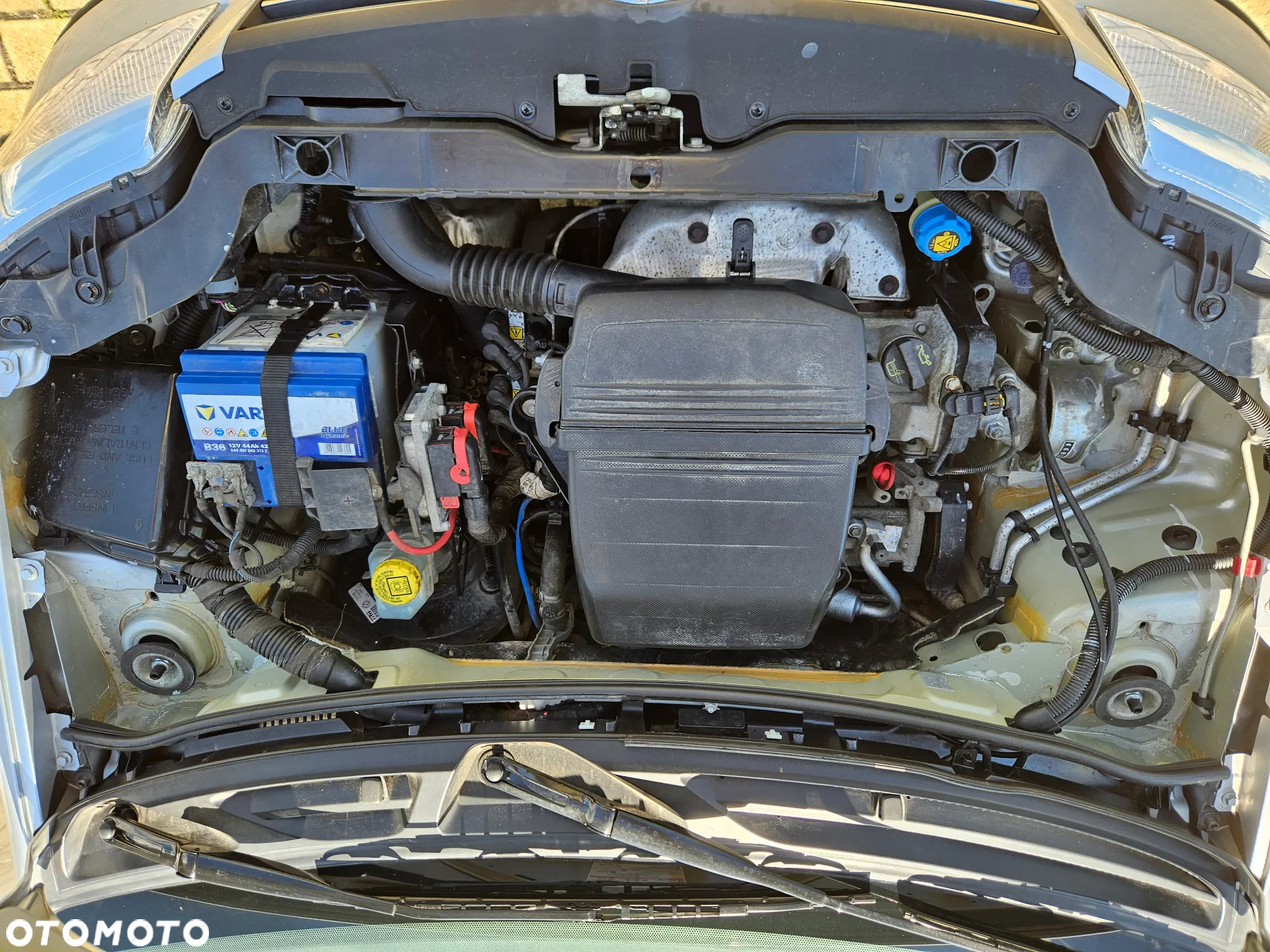 Fiat Panda 1.2 Automatik Alessi - 35