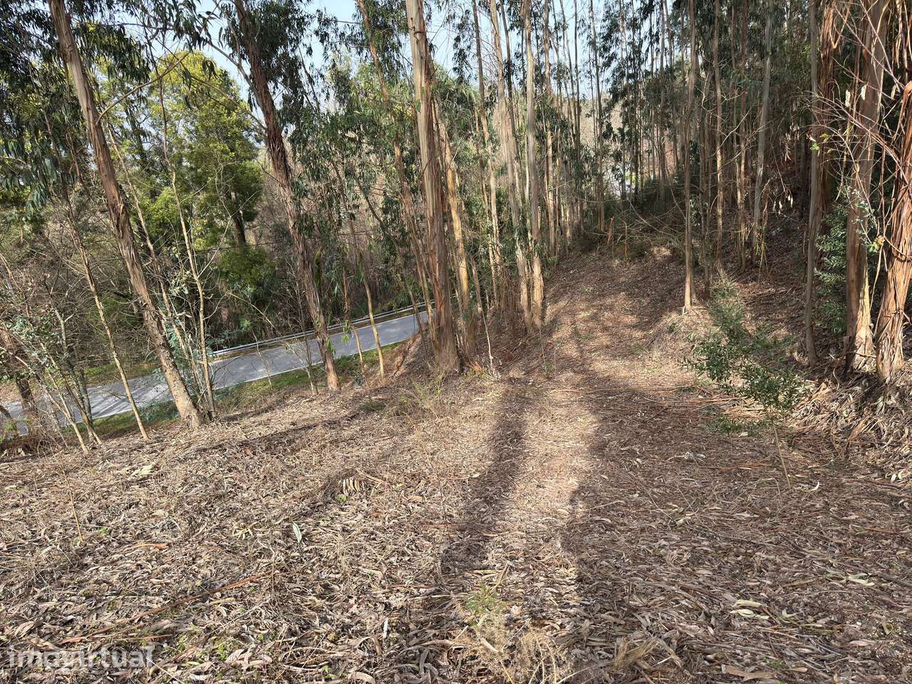 Terreno  em Quinchães, Fafe - Grande imagem: 4/12