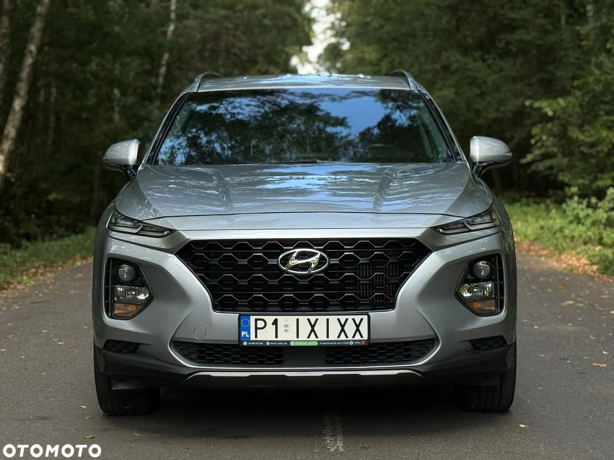 Hyundai Santa Fe - 9