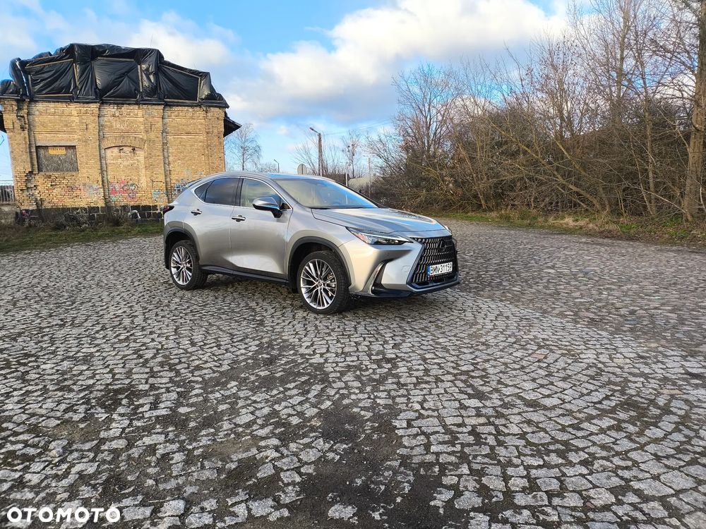 Lexus NX - 18
