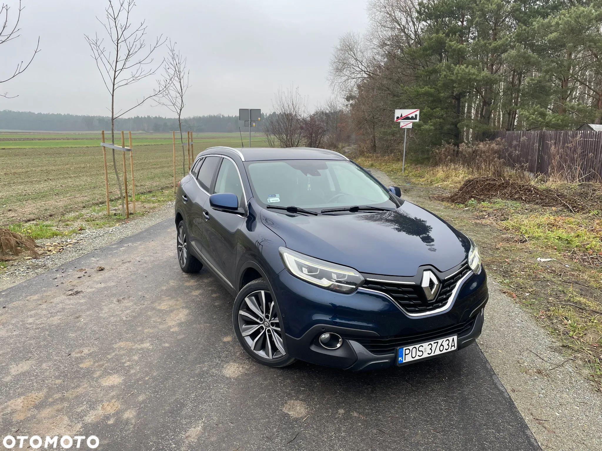 Renault Kadjar 1.6 dCi Energy Intens - 1
