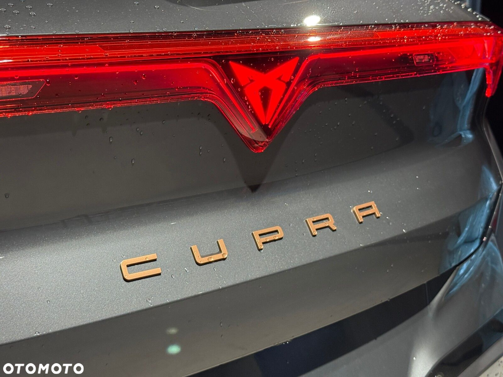 Cupra Terramar - 12