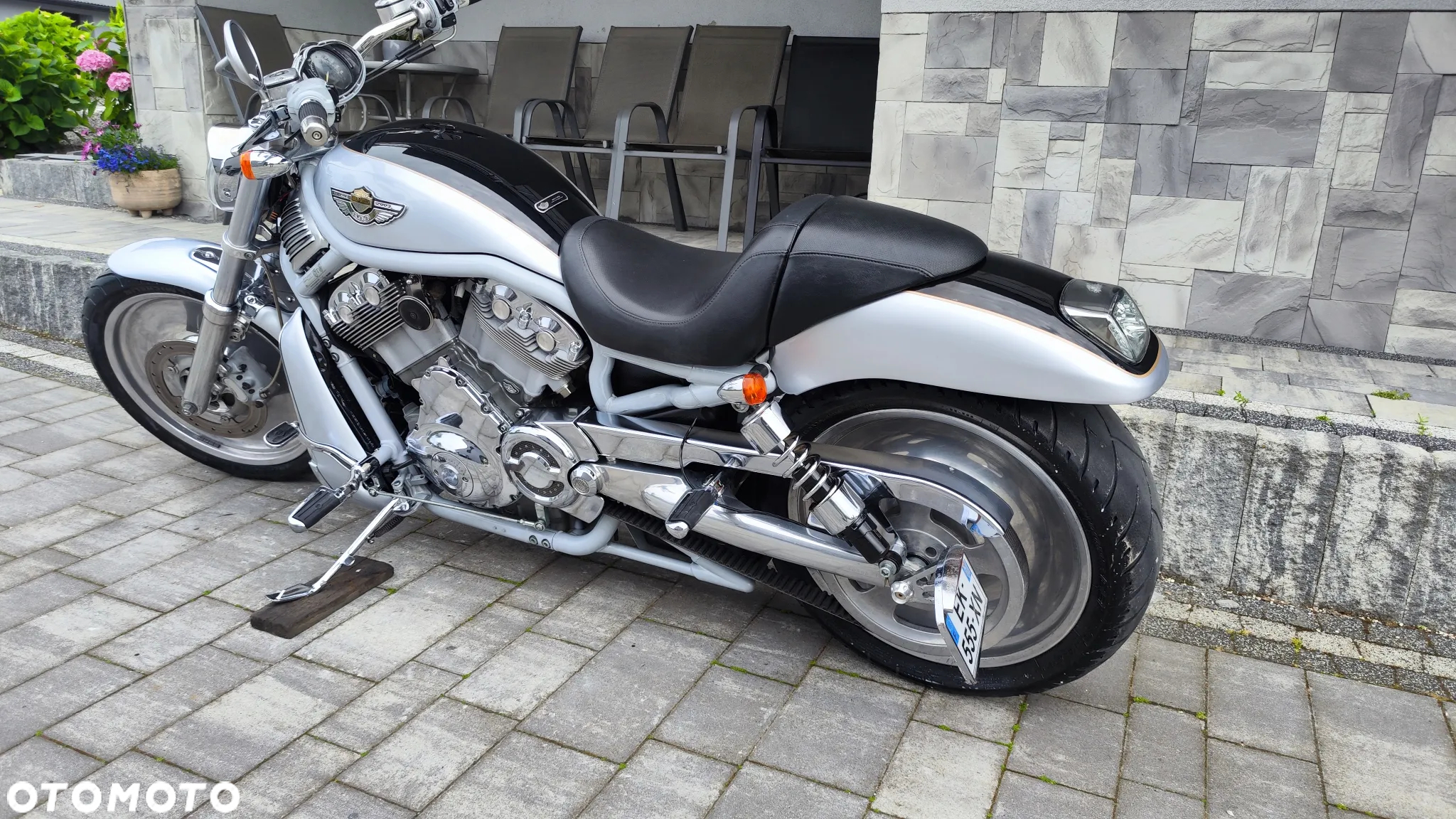 Harley-Davidson Softail V-Rod - 12