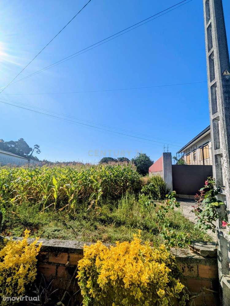 Terreno em Oliveira do Bairro - Grande imagem: 4/5