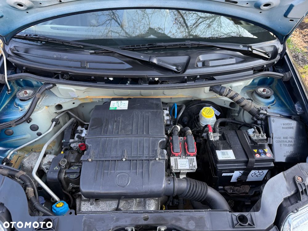 Fiat Panda 1.2 Active - 22