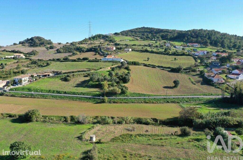 Terreno em Alhandra, São João dos Montes e Calhandriz - Grande imagem: 2/10