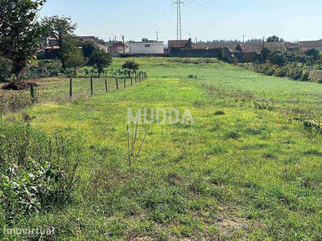 Terreno para Construção | Fermelã, Estarreja - Grande imagem: 3/5
