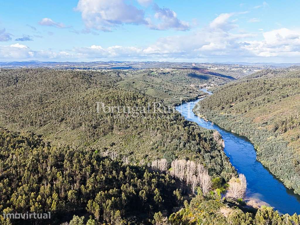 Herdade com 227 ha junto à Albufeira de Castelo de Bode - Grande imagem: 3/47