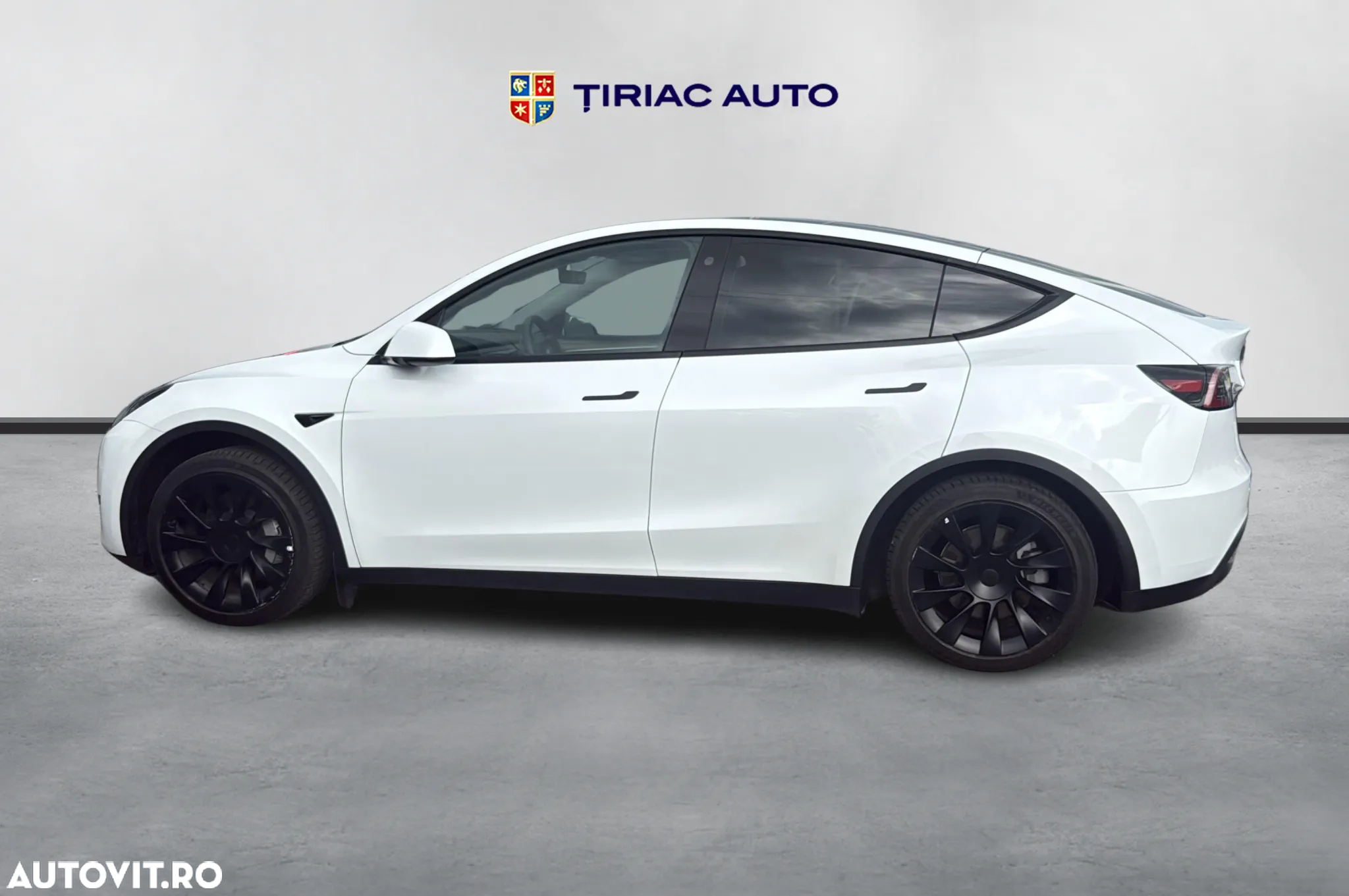 Tesla Model Y RWD - 2