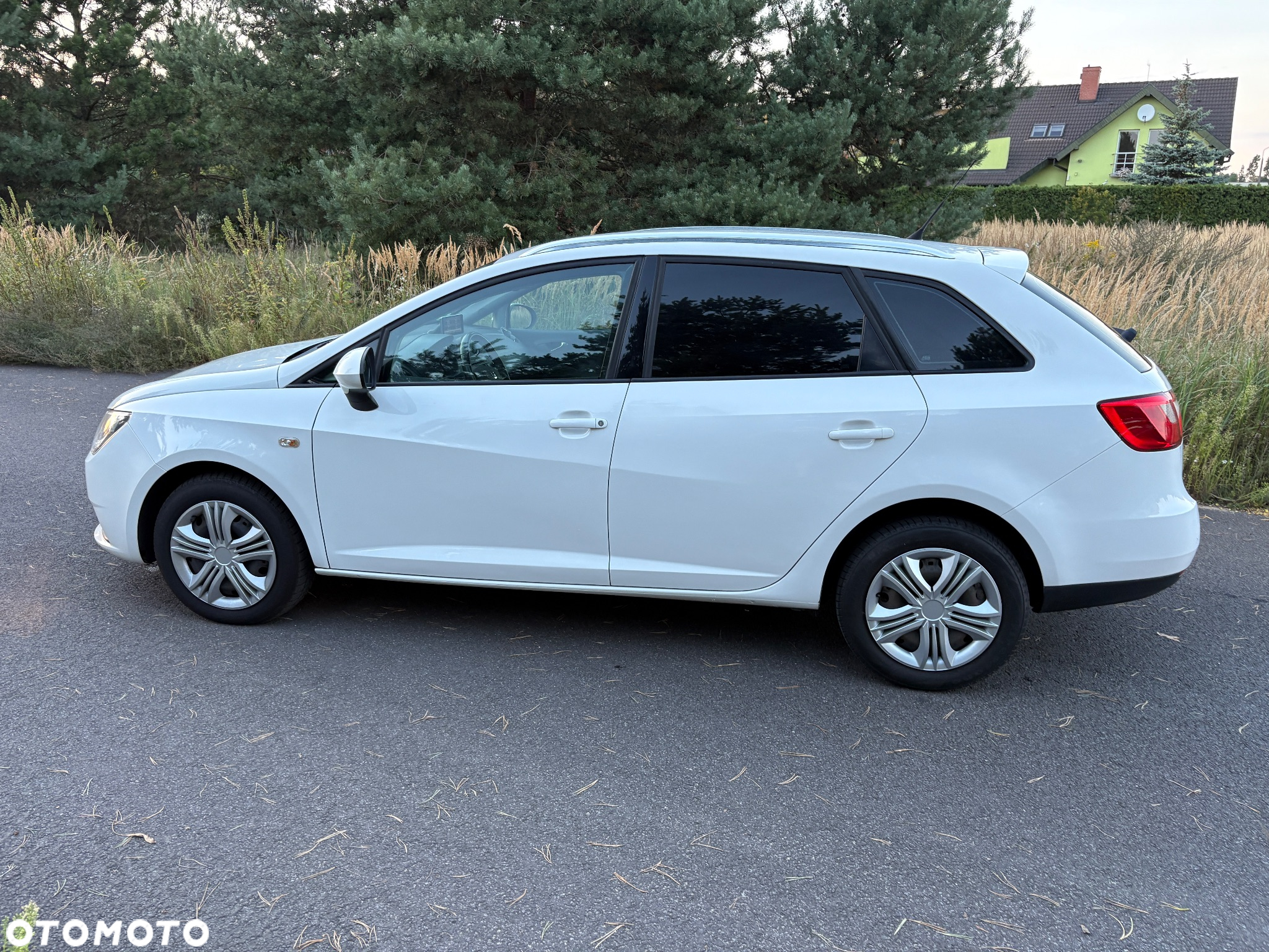 Seat Ibiza - 3
