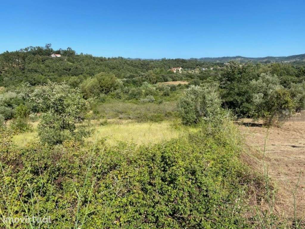 Terreno - Grande imagem: 4/6