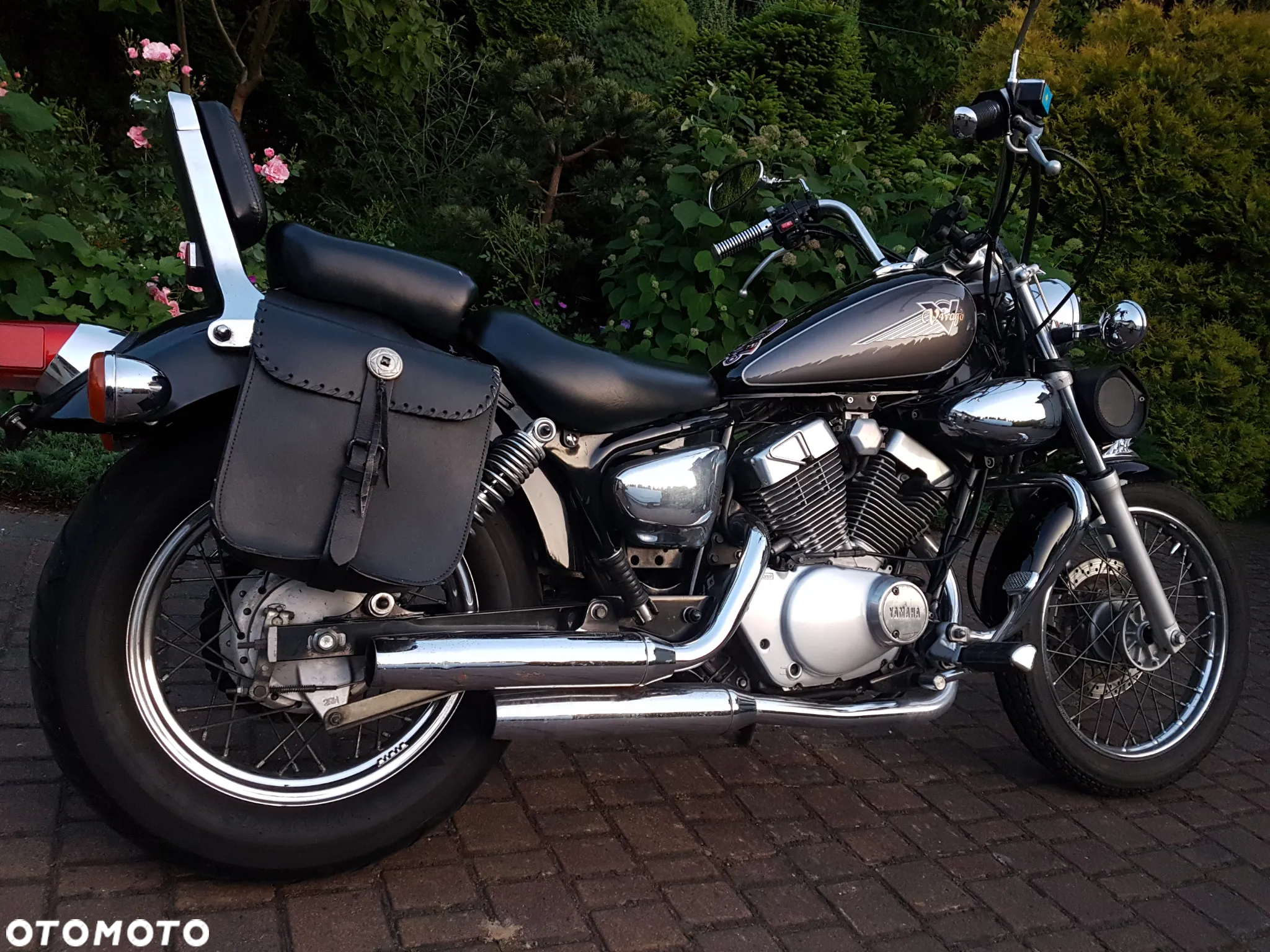 Yamaha Virago - 12