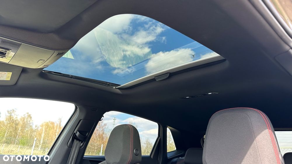 Volkswagen Polo 2.0 TSI GTI DSG - 8